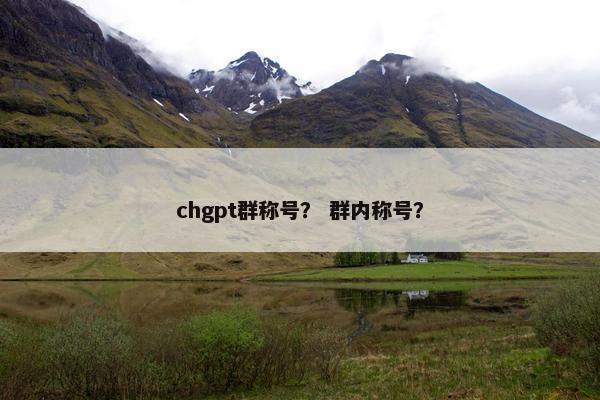 chgpt群称号？ 群内称号？