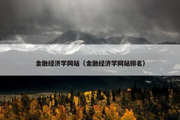 金融经济学网站（金融经济学网站排名）