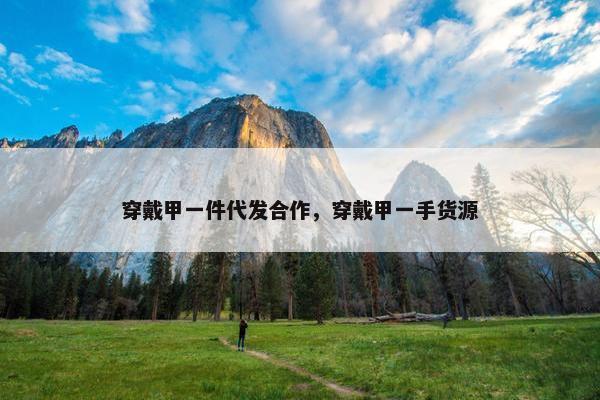 穿戴甲一件代发合作，穿戴甲一手货源