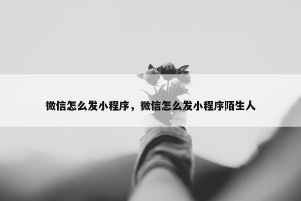 微信怎么发小程序，微信怎么发小程序陌生人