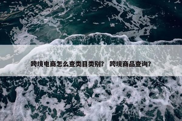 跨境电商怎么查类目类别？ 跨境商品查询？