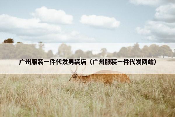 广州服装一件代发男装店（广州服装一件代发网站）