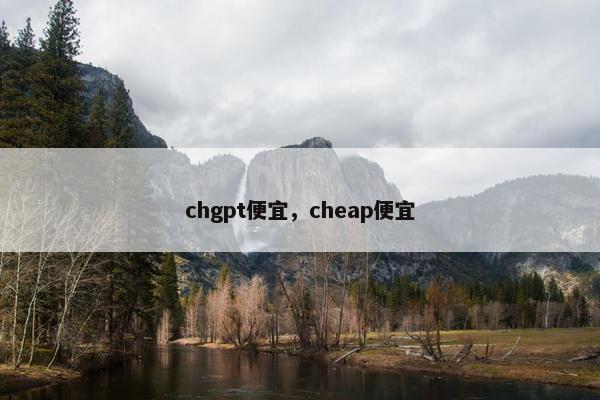 chgpt便宜，cheap便宜