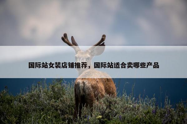 国际站女装店铺推荐，国际站适合卖哪些产品
