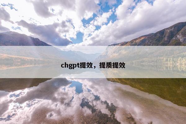 chgpt提效，提质提效