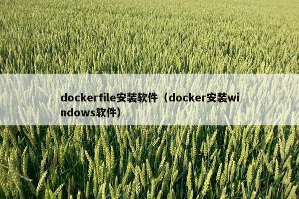 dockerfile安装软件（docker安装windows软件）