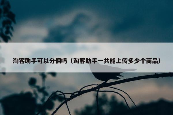 淘客助手可以分佣吗（淘客助手一共能上传多少个商品）