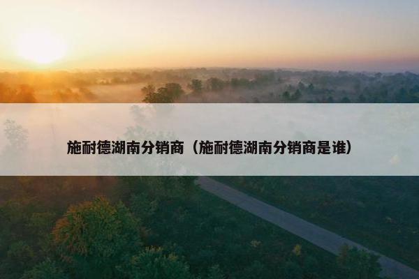 施耐德湖南分销商（施耐德湖南分销商是谁）