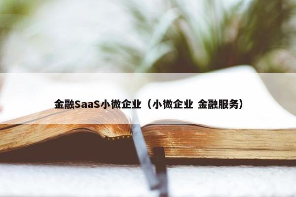 金融SaaS小微企业（小微企业 金融服务）