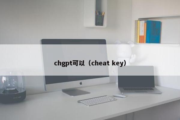 chgpt可以（cheat key）