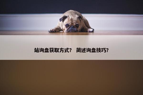 站询盘获取方式？ 简述询盘技巧？