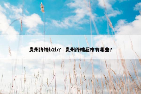 贵州终端b2b？ 贵州终端超市有哪些？