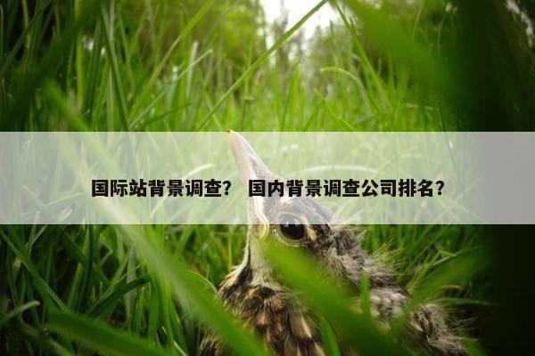 国际站背景调查？ 国内背景调查公司排名？