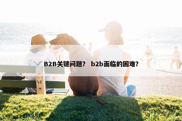 B2B关键问题？ b2b面临的困难？