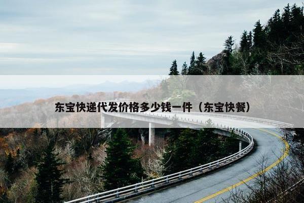 东宝快递代发价格多少钱一件（东宝快餐）