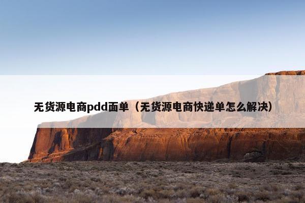无货源电商pdd面单（无货源电商快递单怎么解决）