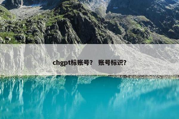 chgpt标账号？ 账号标识？