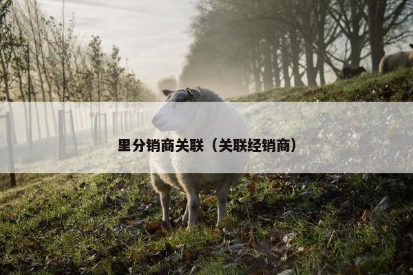 里分销商关联（关联经销商）