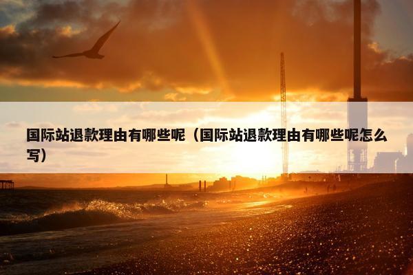 国际站退款理由有哪些呢（国际站退款理由有哪些呢怎么写）