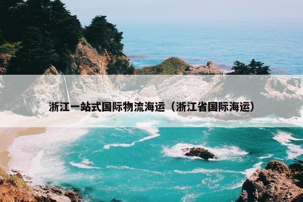 浙江一站式国际物流海运（浙江省国际海运）