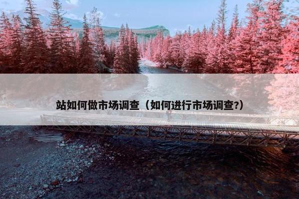 站如何做市场调查（如何进行市场调查?）