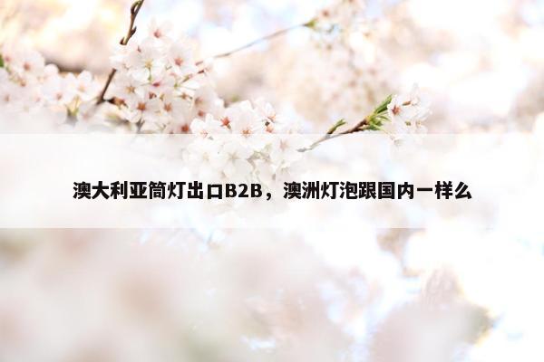 澳大利亚筒灯出口B2B，澳洲灯泡跟国内一样么