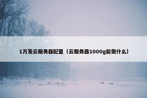 1万发云服务器配置（云服务器1000g能做什么）