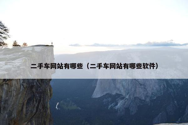 二手车网站有哪些（二手车网站有哪些软件）