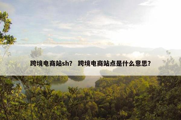 跨境电商站sh？ 跨境电商站点是什么意思？