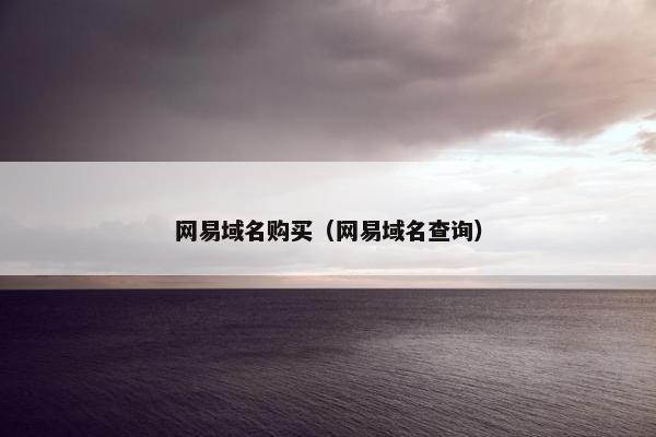 网易域名购买（网易域名查询）