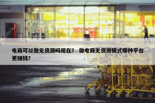 电商可以做无货源吗现在？ 做电商无货源模式哪种平台更赚钱？