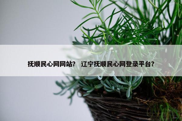 抚顺民心网网站？ 辽宁抚顺民心网登录平台？