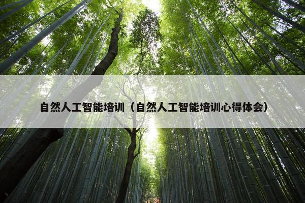 自然人工智能培训（自然人工智能培训心得体会）