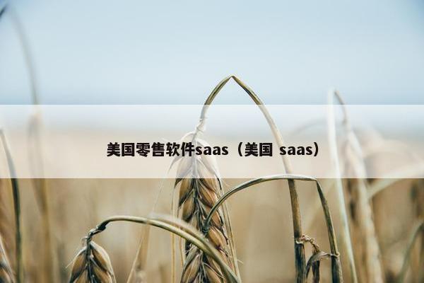 美国零售软件saas（美国 saas）