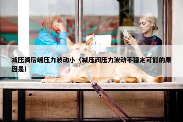 减压阀后端压力波动小（减压阀压力波动不稳定可能的原因是）