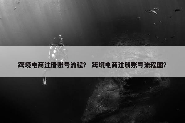 跨境电商注册账号流程？ 跨境电商注册账号流程图？