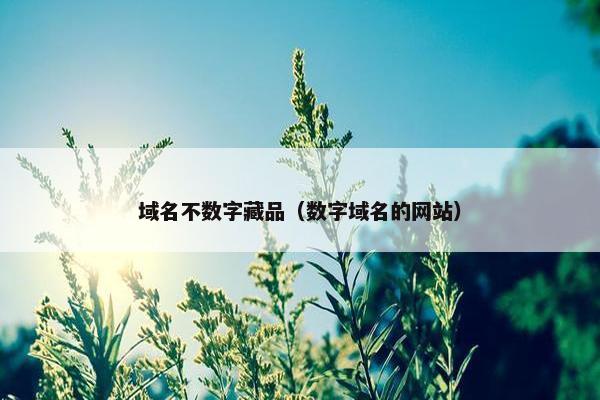 域名不数字藏品（数字域名的网站）
