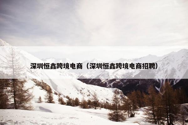 深圳恒鑫跨境电商（深圳恒鑫跨境电商招聘）