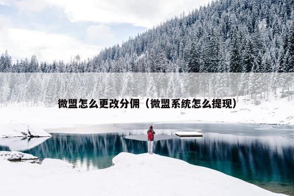微盟怎么更改分佣（微盟系统怎么提现）