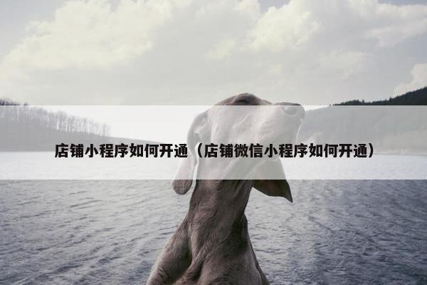 店铺小程序如何开通（店铺微信小程序如何开通）