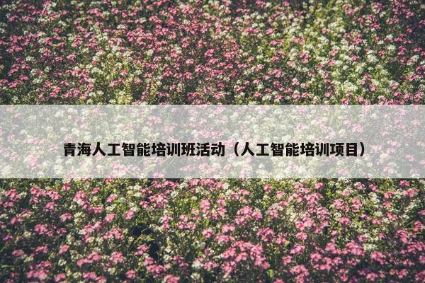 青海人工智能培训班活动（人工智能培训项目）