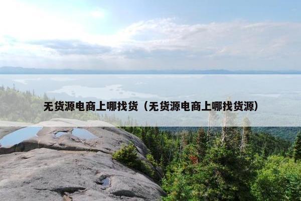 无货源电商上哪找货（无货源电商上哪找货源）