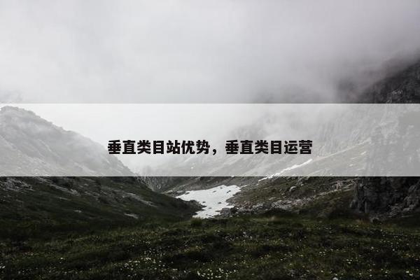 垂直类目站优势，垂直类目运营