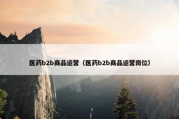医药b2b商品运营（医药b2b商品运营岗位）