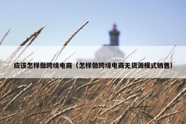 应该怎样做跨境电商（怎样做跨境电商无货源模式销售）