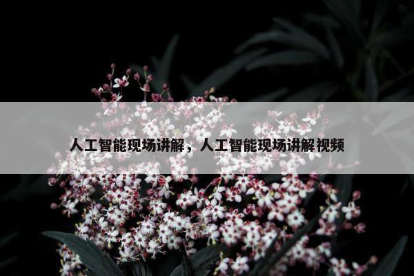 人工智能现场讲解，人工智能现场讲解视频