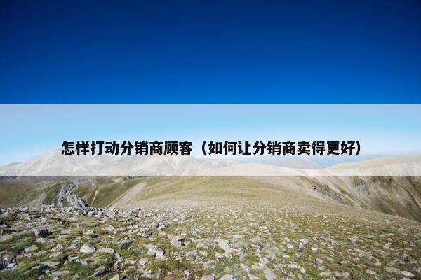 怎样打动分销商顾客（如何让分销商卖得更好）