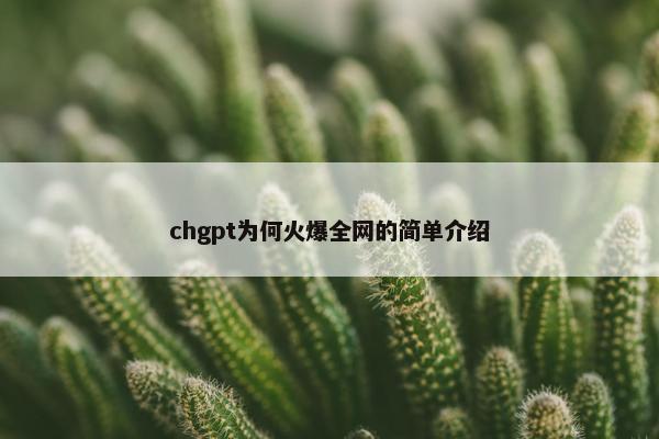 chgpt为何火爆全网的简单介绍