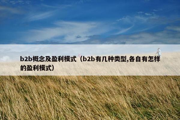b2b概念及盈利模式（b2b有几种类型,各自有怎样的盈利模式）