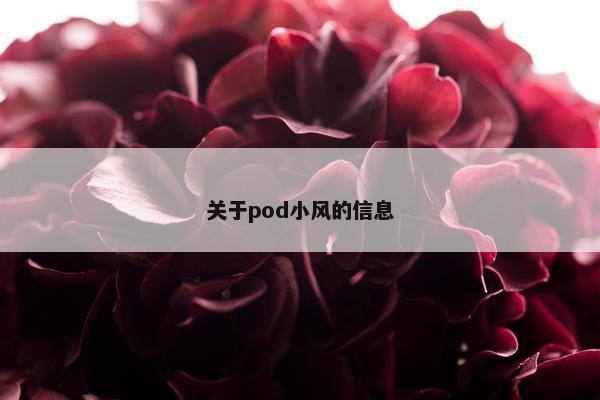 关于pod小风的信息